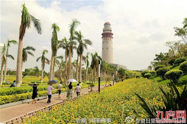 【厦门爆闻】城区常住人口不到300万，不得推积分落户！将停止别墅类用地的土地供应…——九房网