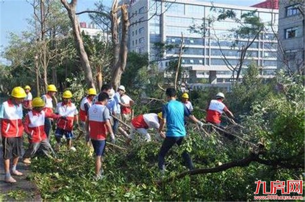 新华社播发福建防抗台风纪实:风雨同舟 守护家园——九房网