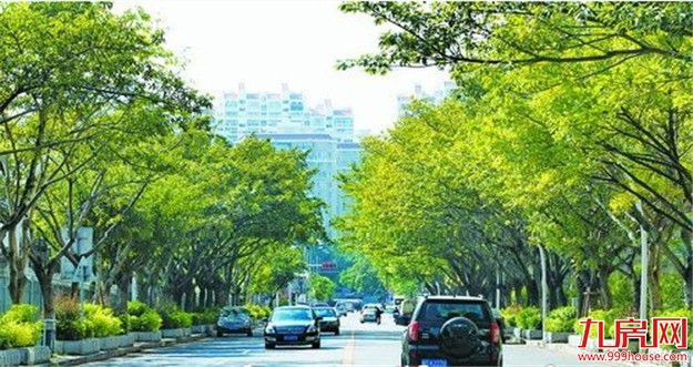 双向改单向堵点变畅通 龙山片区交通改善受好评——九房网