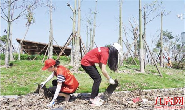 向全世界展现最美侨乡风采 集美区进入“金砖时间”——九房网