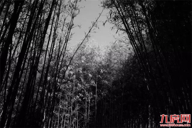 半岛示范区方案,首次公布,诠释何谓隐秘与伟大。——九房网 半岛示范区方案,首次公布,诠释何谓隐秘与伟大。——九房网