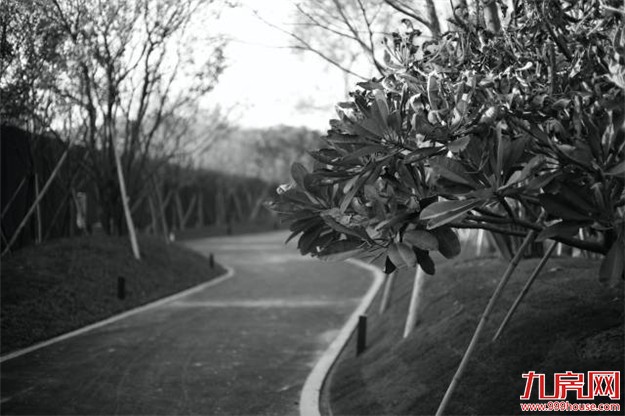 半岛示范区方案,首次公布,诠释何谓隐秘与伟大。——九房网 半岛示范区方案,首次公布,诠释何谓隐秘与伟大。——九房网