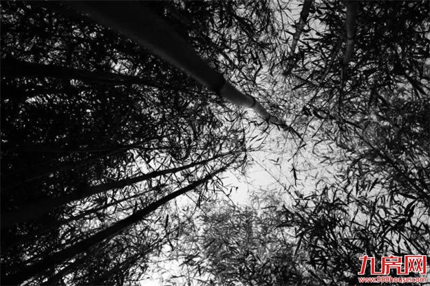 半岛示范区方案,首次公布,诠释何谓隐秘与伟大。——九房网 半岛示范区方案,首次公布,诠释何谓隐秘与伟大。——九房网