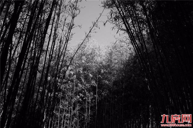 一支车队,悄悄驶入环岛路35号... ——九房网 一支车队,悄悄驶入环岛路35号... ——九房网