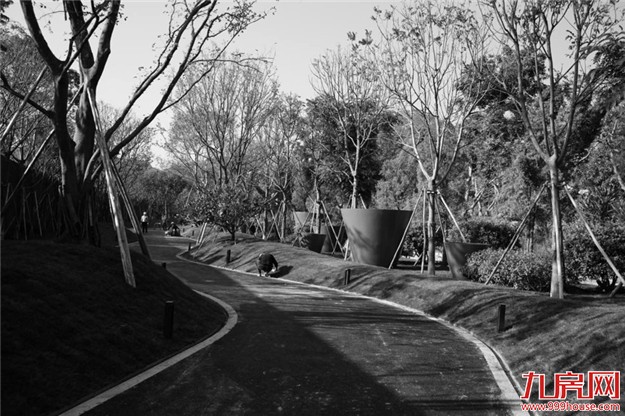 一支车队,悄悄驶入环岛路35号... ——九房网 一支车队,悄悄驶入环岛路35号... ——九房网