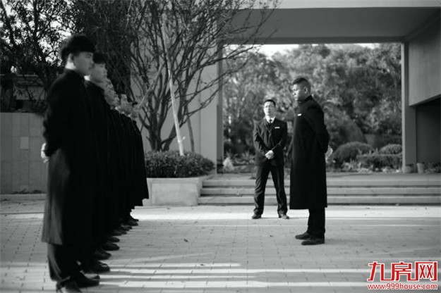 那一年,雪山下发生了一场“连锁效应”...——九房网 那一年,雪山下发生了一场“连锁效应”...——九房网