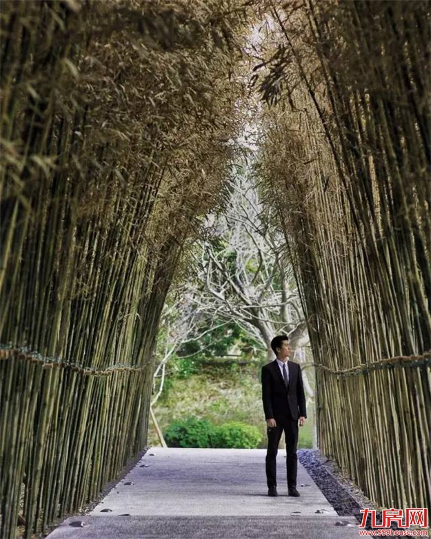 那一年,雪山下发生了一场“连锁效应”...——九房网 那一年,雪山下发生了一场“连锁效应”...——九房网