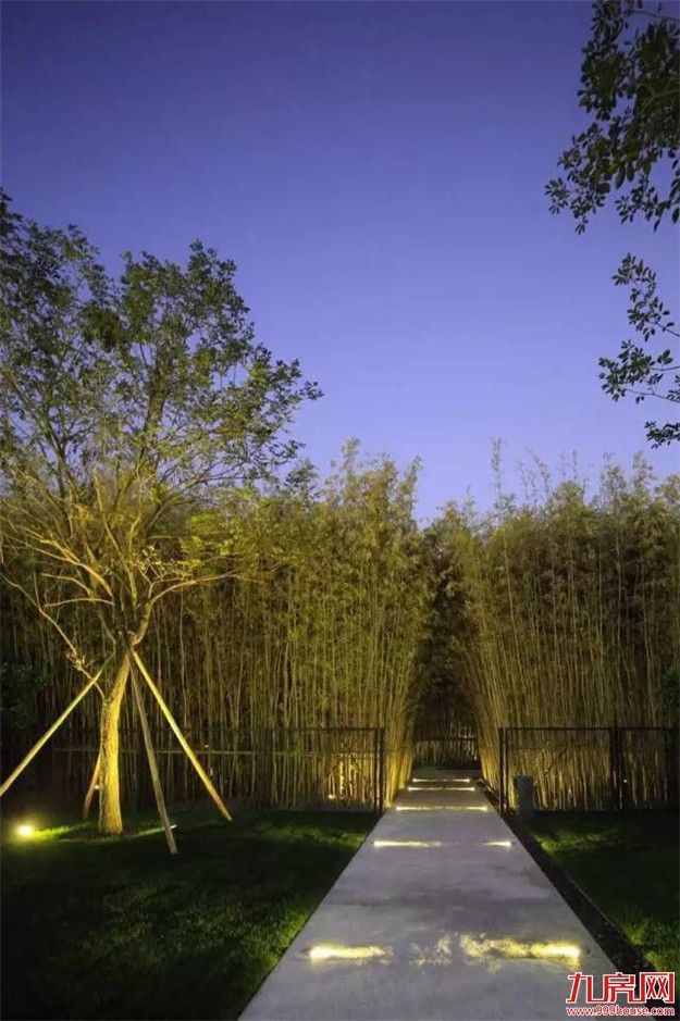 那一年,雪山下发生了一场“连锁效应”...——九房网 那一年,雪山下发生了一场“连锁效应”...——九房网