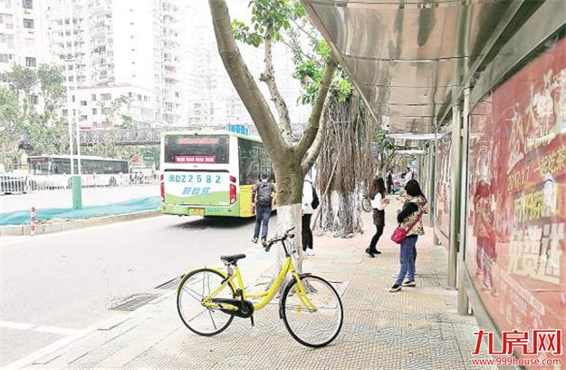 厦门：共享单车乱停放现象突出 连隧道也未能幸免——九房网