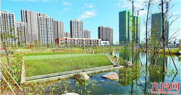 厦全面推进海绵城市建设 落实绿色发展理念——九房网