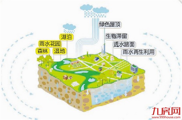 厦全面推进海绵城市建设 落实绿色发展理念——九房网