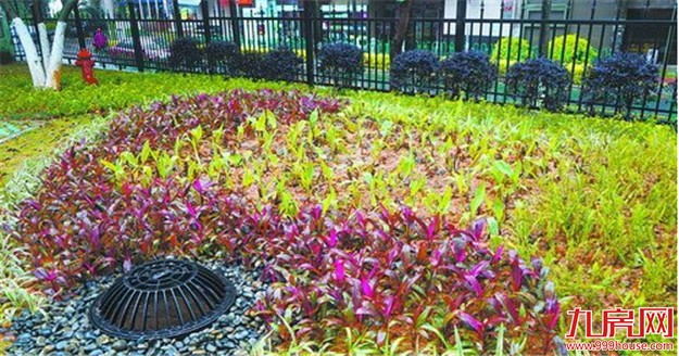 厦全面推进海绵城市建设 落实绿色发展理念——九房网