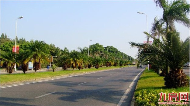 厦门环岛干道绿化工程阶段性成果 初显海韵疏林景象——九房网