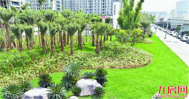 厦门11条重要道路展现全新的绿化景观效果 为新春增添别样光彩——九房网