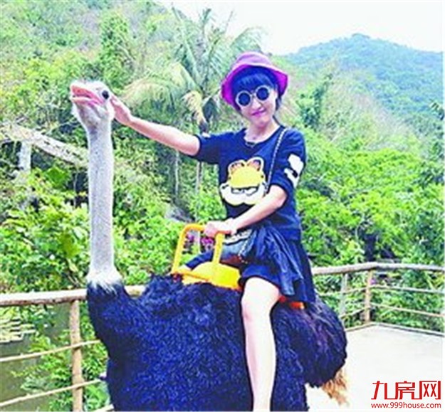 今明两天 邀您赏“百鸟朝凤” 2017海投中国年在海沧马銮湾营销中心举行——九房网