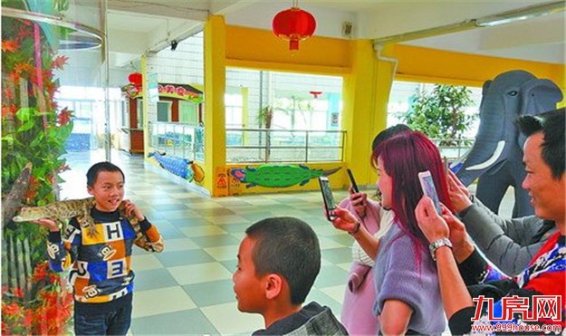 厦门南顺鳄鱼园2月13日起闭馆 周末两天推出半价优惠——九房网