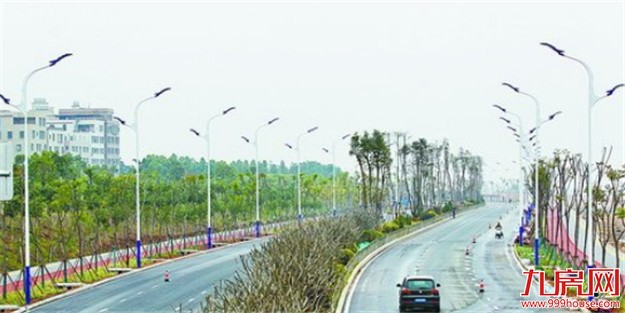 新阳大道霞光桥至新景路段试通车 为新城新建骨干路首个通车路段——九房网