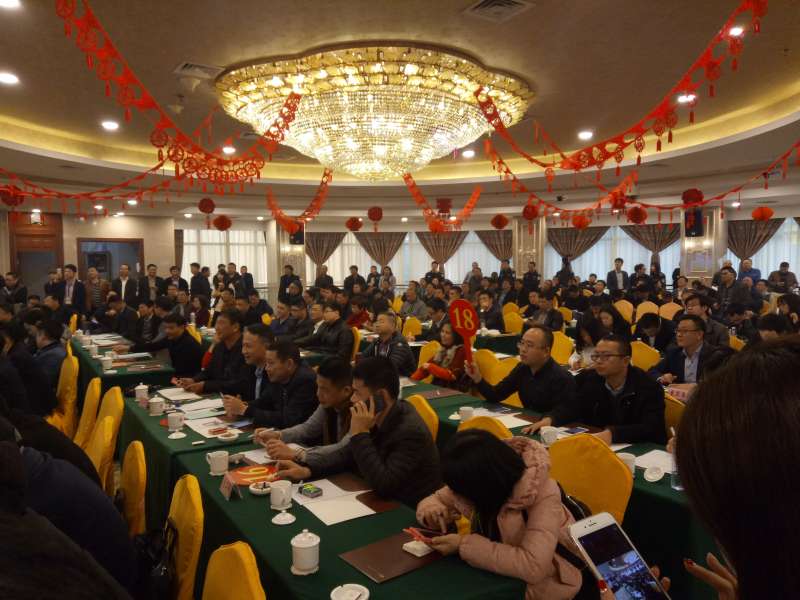 直播|龙海六宗地块连拍，20余家房企争抢临漳州港两地块！——九房网