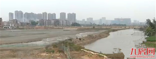 厦门有超三万多公顷湿地 现面临面积不断缩小的困境——九房网 厦门有超三万多公顷湿地 现面临面积不断缩小的困境——九房网