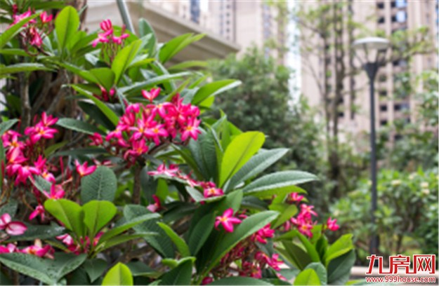 中骏·四季阳光：双十旁·地铁口  89-97㎡拓展三房限量加推——九房网