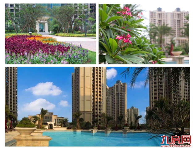 中骏四季阳光:77-97m²国民经典小户 4月压轴开盘——九房网 中骏四季阳光:77-97m²国民经典小户 4月压轴开盘——九房网