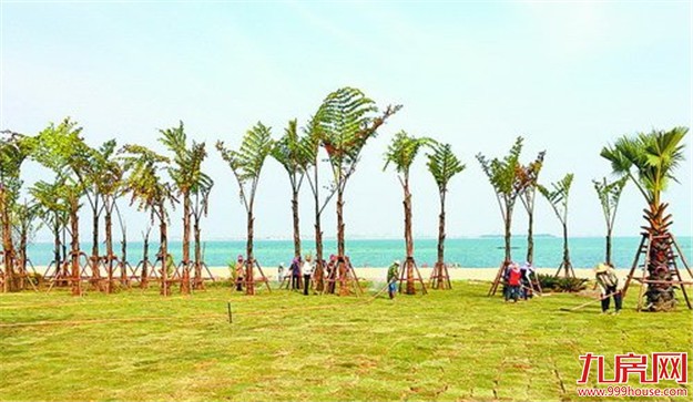 同安滨海旅游浪漫线亮出艳容 一期长约7.9公里——九房网 同安滨海旅游浪漫线亮出艳容 一期长约7.9公里——九房网