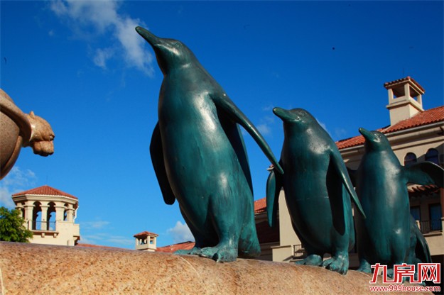  照亮海西的艺术家 闪耀百年的理想之光——九房网