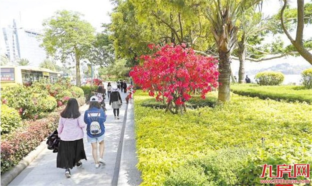 厦门将新建扩建多个公园 马銮湾新城拟建湿地公园——九房网 厦门将新建扩建多个公园 马銮湾新城拟建湿地公园——九房网