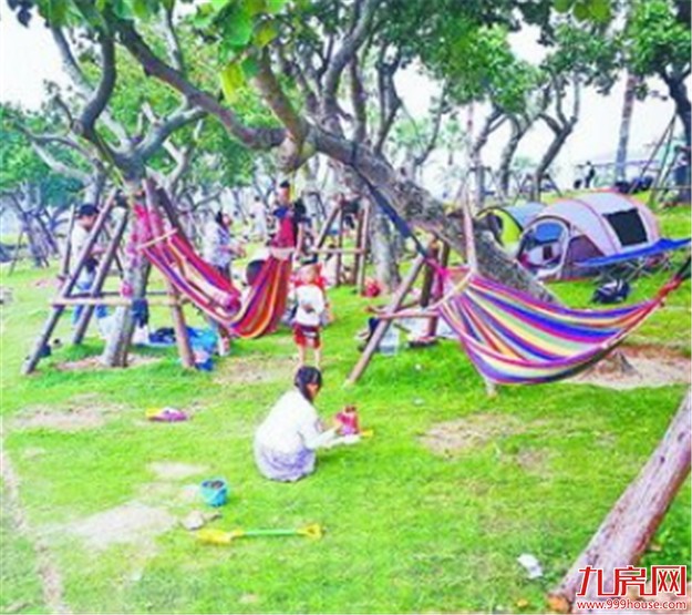 游客在环岛路绿化带上搭吊床 短短50米就有8床——九房网 游客在环岛路绿化带上搭吊床 短短50米就有8床——九房网