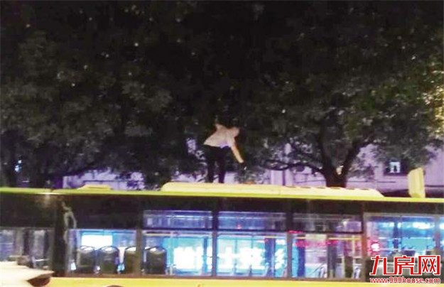 厦门路旁芒果树成开心农场 盘点市民花式采摘法——九房网