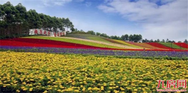 十里蓝山：音乐、露营、烧烤、花海...带上孩子来撒欢吧！——九房网