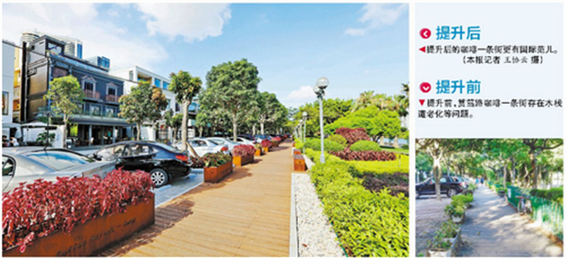 我市54条市政道路换新装颜值刷新 构建城市新风景线——九房网