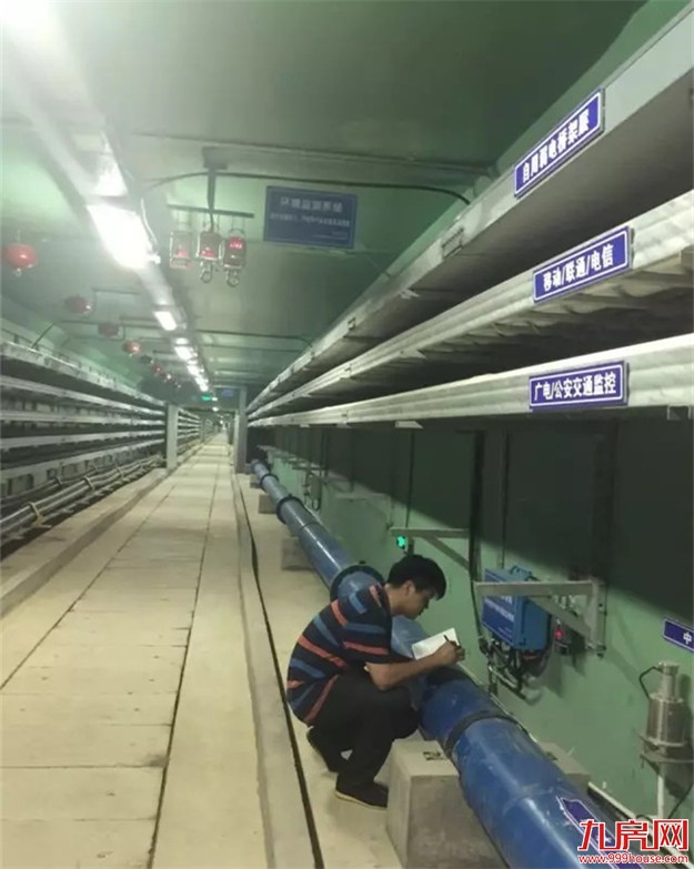 新华社：厦门这座城市真小，它的梦想很大！——九房网