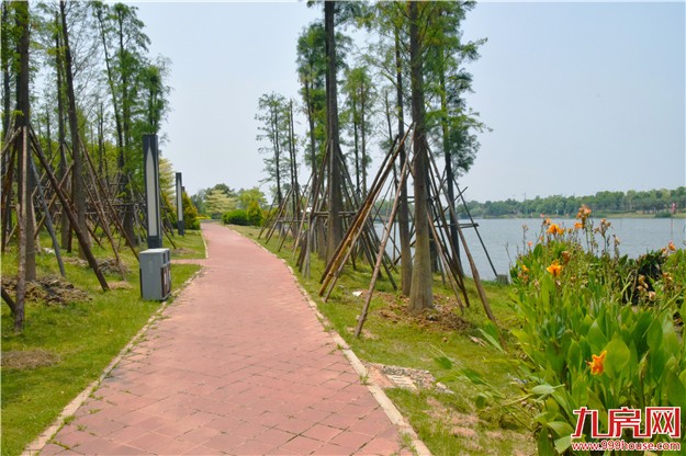 【测评】实地探访角美地块 8月10日会花落谁家？——九房网