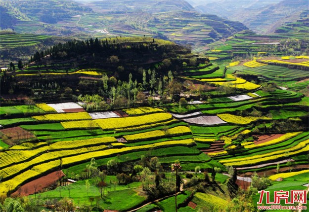 土地管理法已报国务院：正制定集体建设用地入市办法——九房网