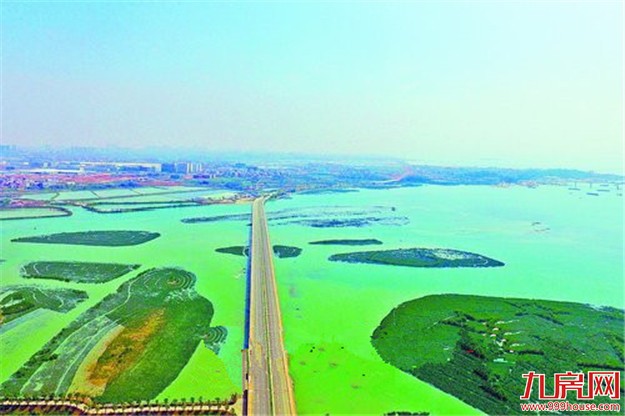 下潭尾滨海湿地公园预计2020年建成 将形成我市面积最大的红树林湿地——九房网