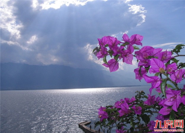 园林绿化条例(草案)今日一审 建设项目不许擅自降低绿地率——九房网