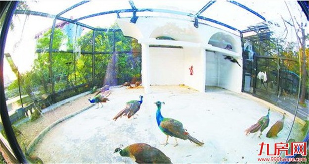 儿童乐园动物园今日起全新亮相 攀岩戏水走迷宫看动物乐趣无穷——九房网