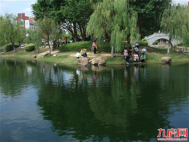 中外媒体记者盛赞厦门城市建设:这座城市给人幸福感——九房网 中外媒体记者盛赞厦门城市建设:这座城市给人幸福感——九房网