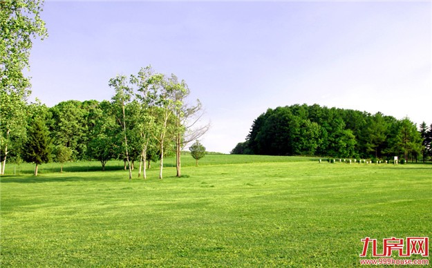 去年土地批而未用177万亩,国土部高层接连发声要这么做——九房网 去年土地批而未用177万亩,国土部高层接连发声要这么做——九房网