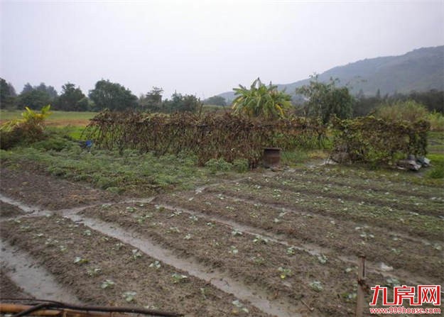 前8月全国卖地收入2.7万亿 三四线城市地市火热——九房网 前8月全国卖地收入2.7万亿 三四线城市地市火热——九房网