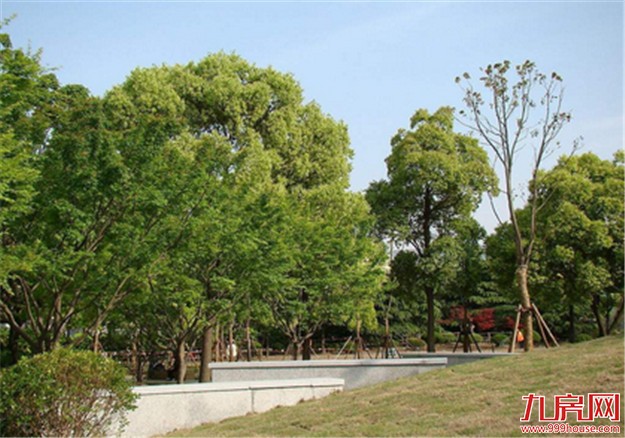 翔安公婆山山地公园工程进行招标 规划用地约12万㎡——九房网