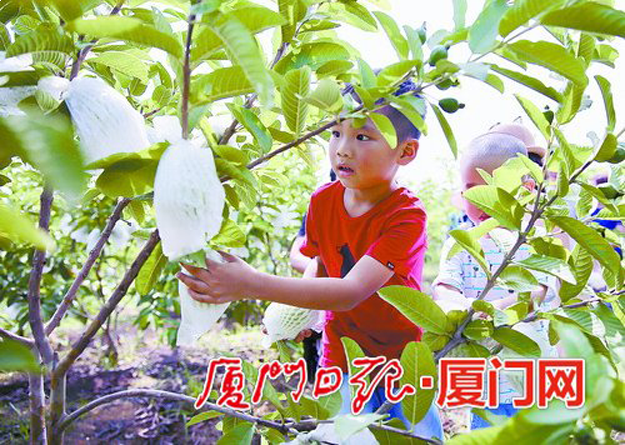 厦门房产,厦门房地产,厦门新房,九房网,厦门房产