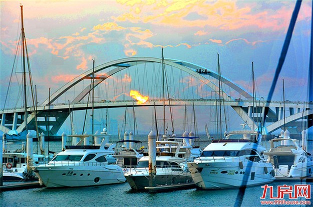 “金砖红利”持续释放 厦门游艇旅游产业迎发展新契机——九房网