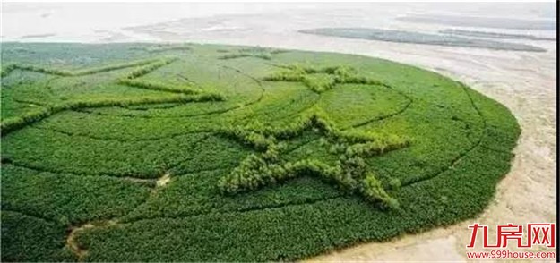 新一轮规划部署！岛外3城将成未来城市客厅！谁是最大赢家？看这里…——九房网