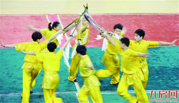 2017年厦门武术大赛下月开幕 26个国家和地区习武者展示武艺——九房网