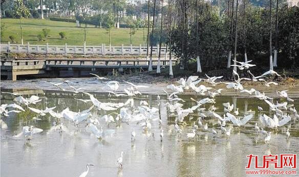 灌口镇推动产业转型升级、不断改善人居环境 入选全国综合实力百强镇——九房网