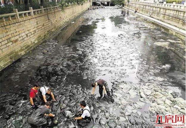 一周城建|华润中心封顶落架  世茂再造518米新地标——九房网
