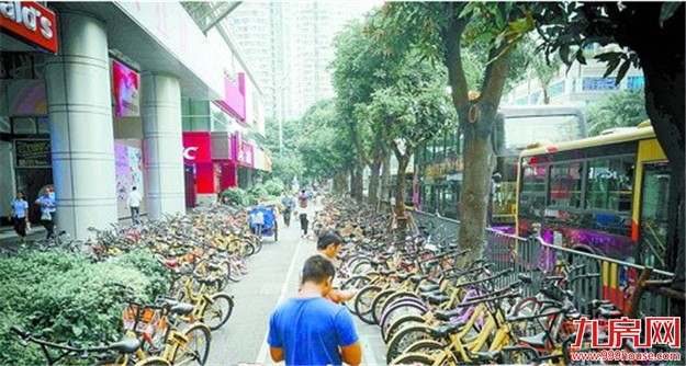 7个单车品牌超25万辆投放厦门 疯狂抢滩给市民添堵——九房网