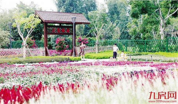 到园博苑D岛 看罕见繁花——九房网